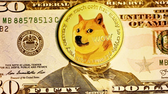 Dogecoin. Vypadá roztomile, ale na tlapkách má i&nbsp;stopy zločinu