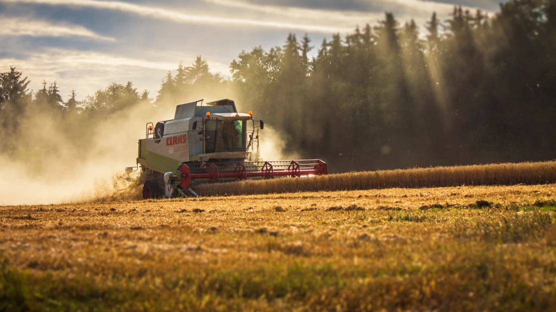 Pečivo ještě zdraží. Cena pšenice se na úroveň před krizí nevrátí, odhaduje agrární analytik