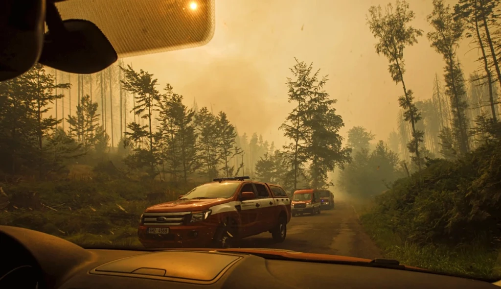 Spálené stromy a&nbsp;vyčerpaní lidé. Jak teď můžeme pomoci Českému Švýcarsku?