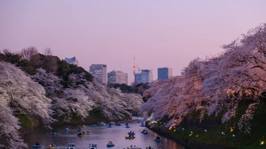 Guide to Tokio: Utopický sen o&nbsp;městě, kde vše funguje