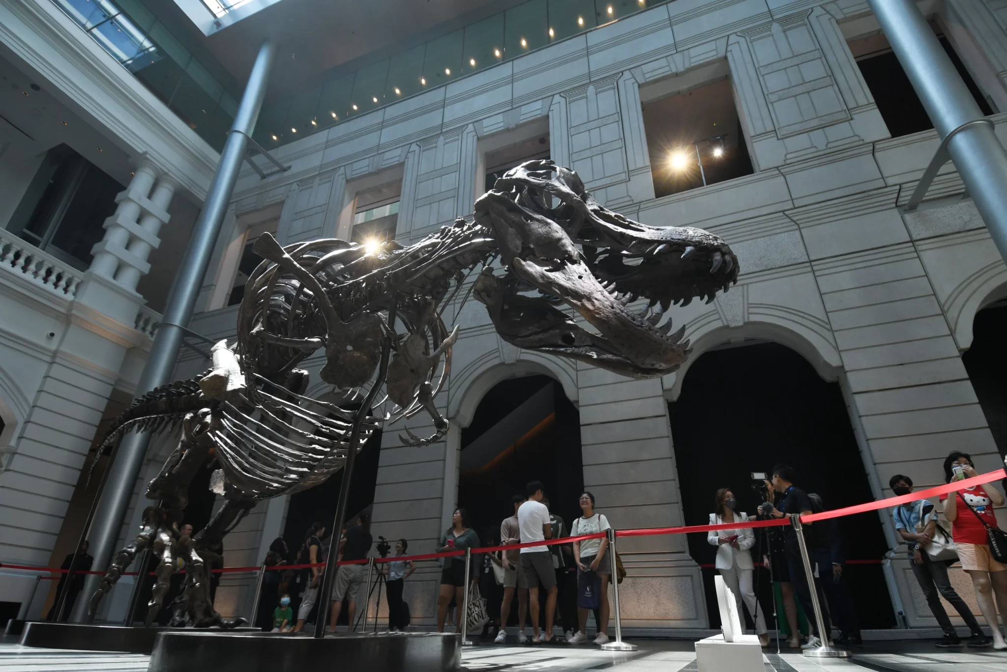 Christie’s stáhl kostru Tyrannosaura rexe z plánované aukce. Její pravost byla zpochybněna