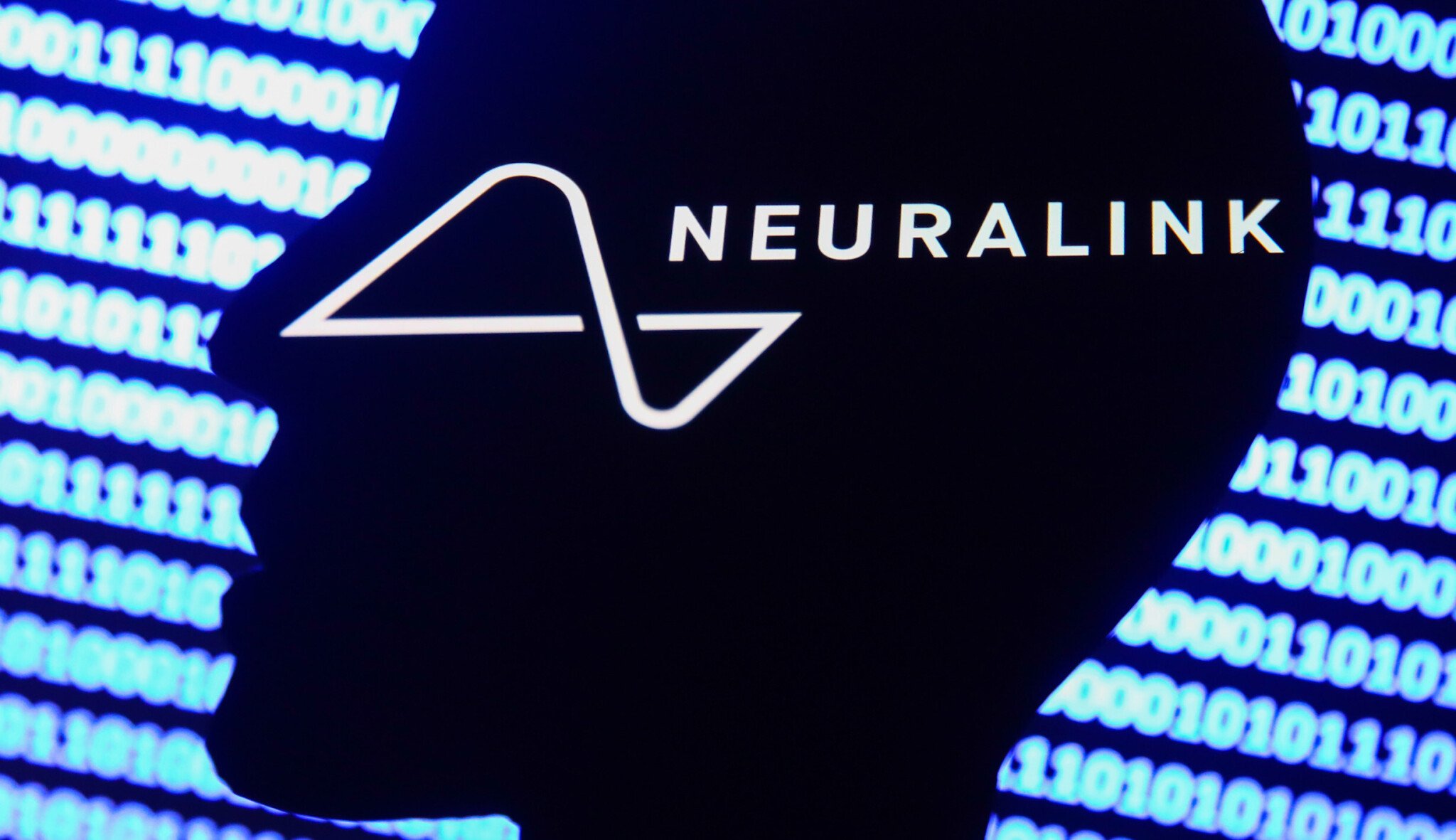 Vláda USA vyšetřuje Muskův Neuralink. Jeho testy už připravily o život 1500 zvířat