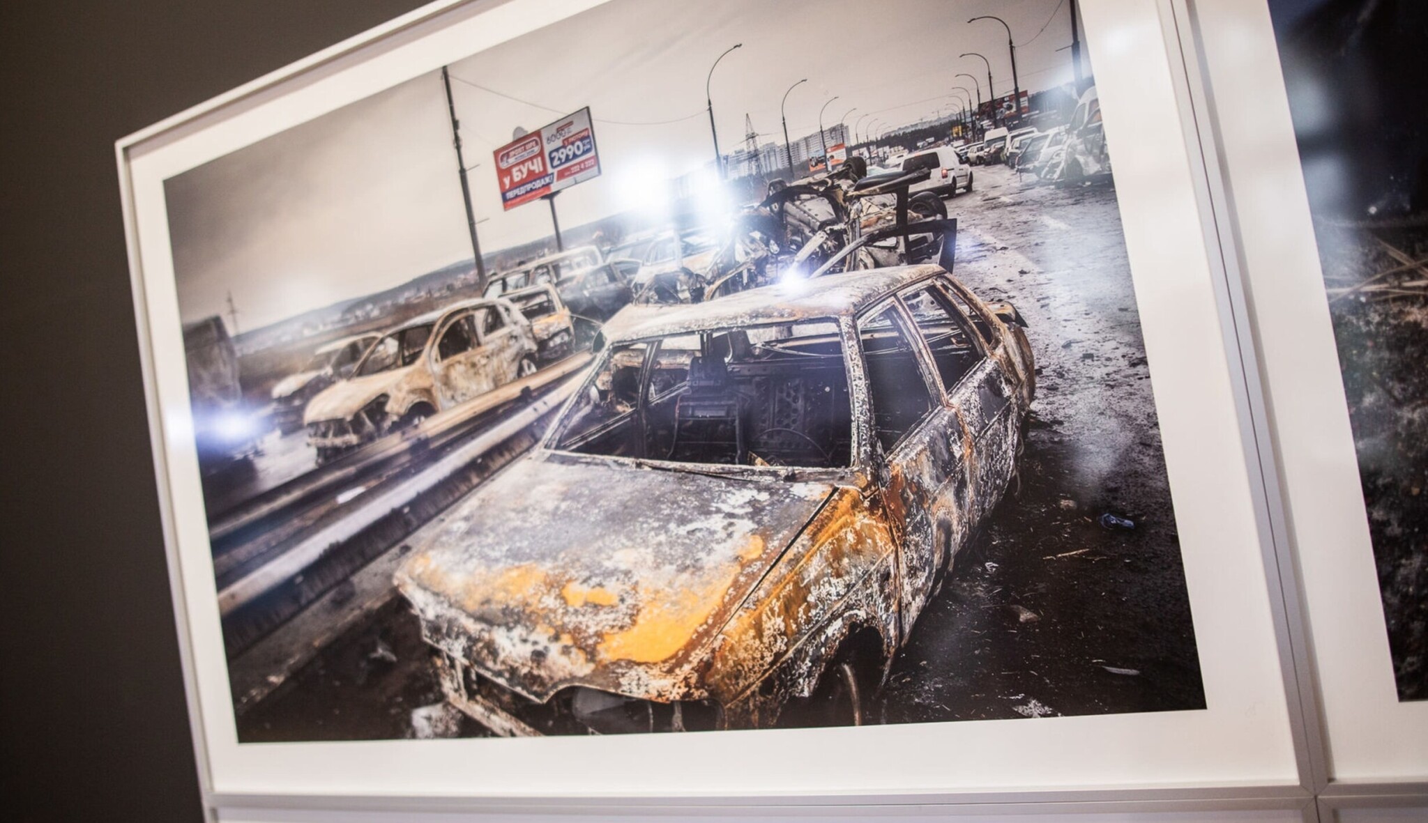 Nejlepší novinářské fotky zachycují hrůzu války, boj s ohněm i smrt královny