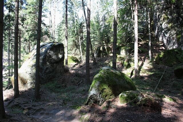 Pandemii i požáru navzdory. České Švýcarsko má o víkendech návštěvnost jako před covidem