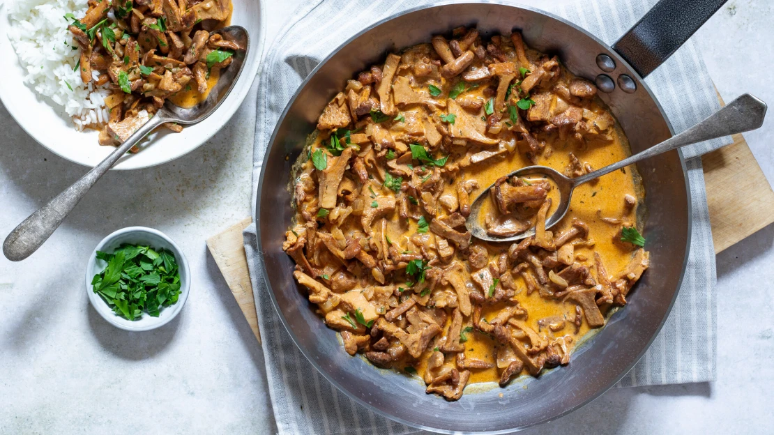 Recept minulosti jako vege jídlo budoucnosti: houbový Stroganov