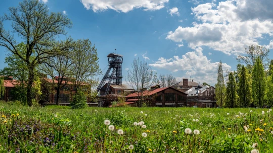 Nová Ostrava. Někdejší černé město prostoupila zeleň a&nbsp;provoněla káva