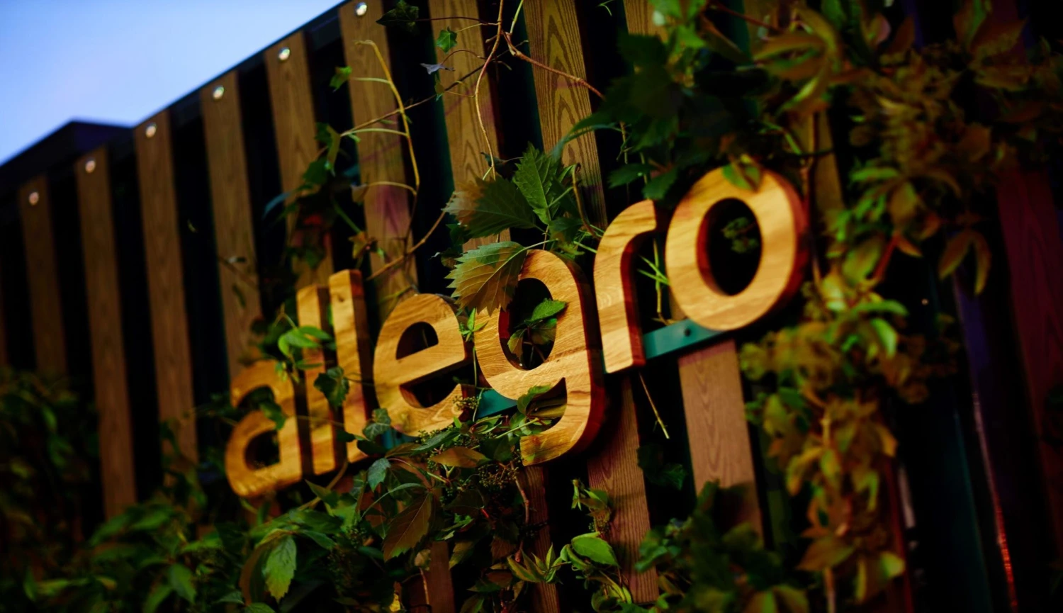 Allegro zveřejnilo výsledky. Doma kralují, v Česku rostou a míří na Slovensko