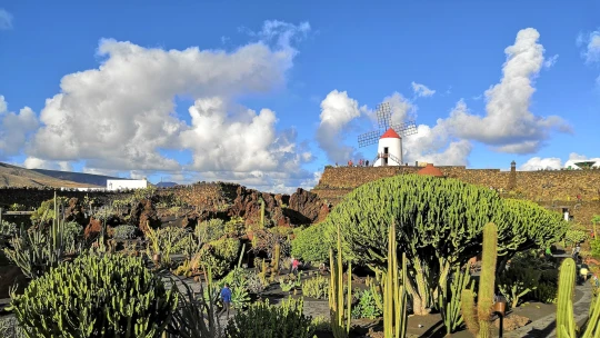 Guide to Lanzarote: sopky, luxus a&nbsp;skvělé jídlo