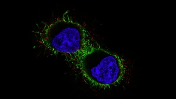 Od nanorobotů po&nbsp;implantáty páteře. Jihomoravští vědci slaví úspěchy v řadě oborů