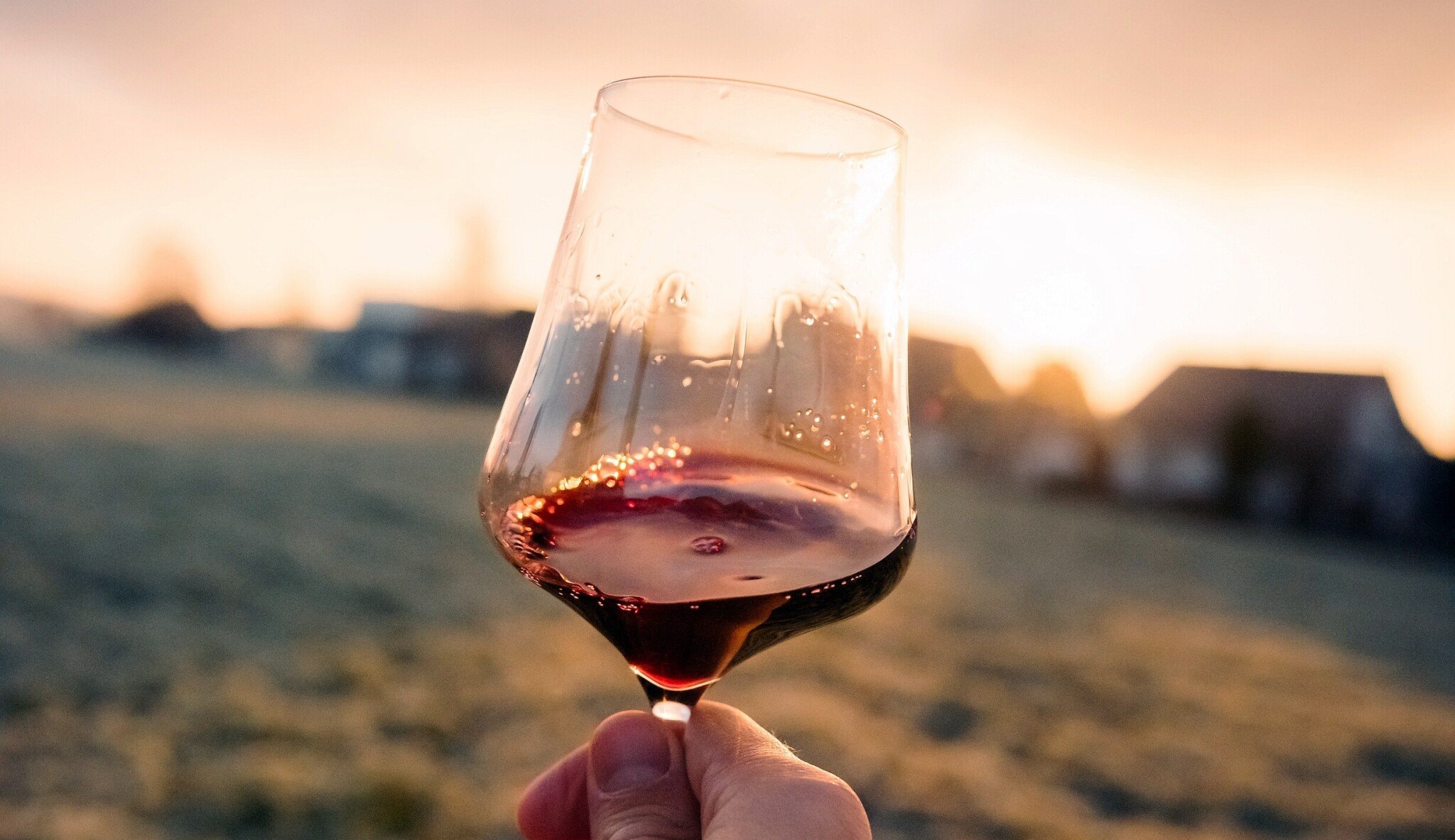 Spotřební daň na tichá vína? Pro je podle průzkumu zhruba 40 procent Čechů