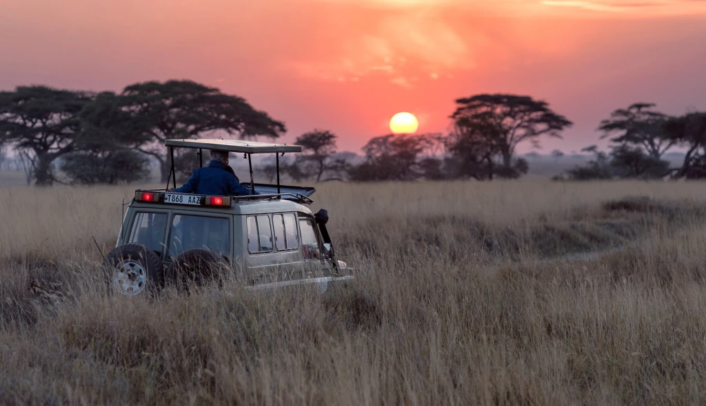 Soukromé safari nebo lyže v&nbsp;Gruzii. Jak tráví zimu nejbohatší lidé Česka?