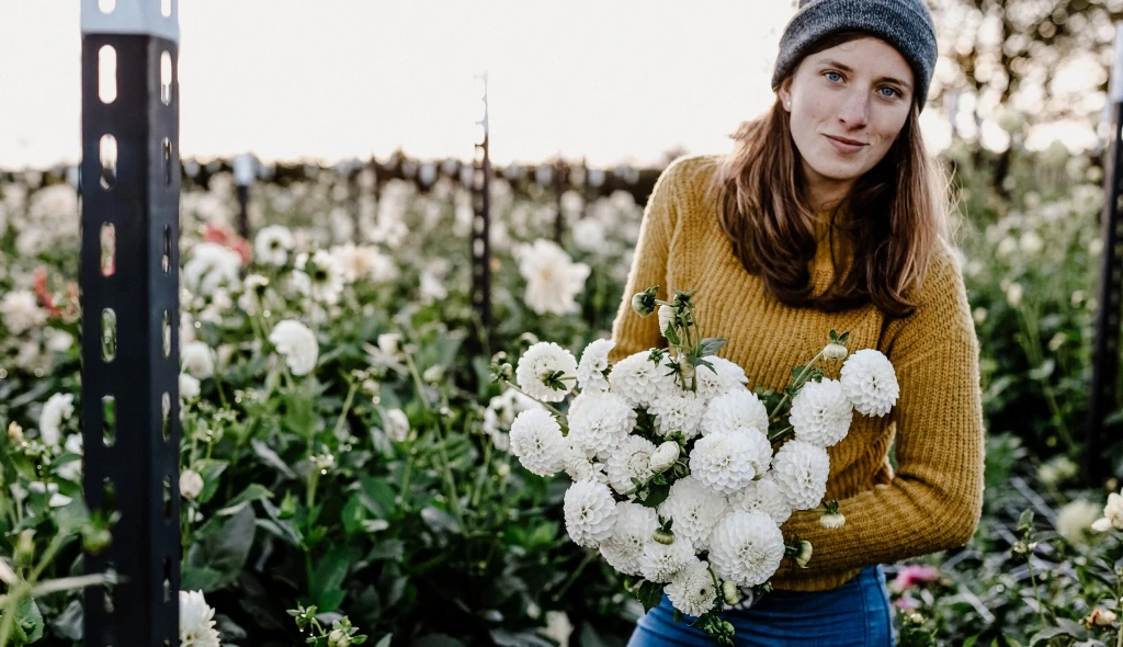Zájem o květiny vypěstované v Česku klesá, Loukykvět snižuje produkci