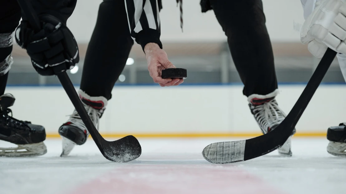 Český byznys na hokeji. Kdo z miliardářů chce vidět hvězdy NHL?