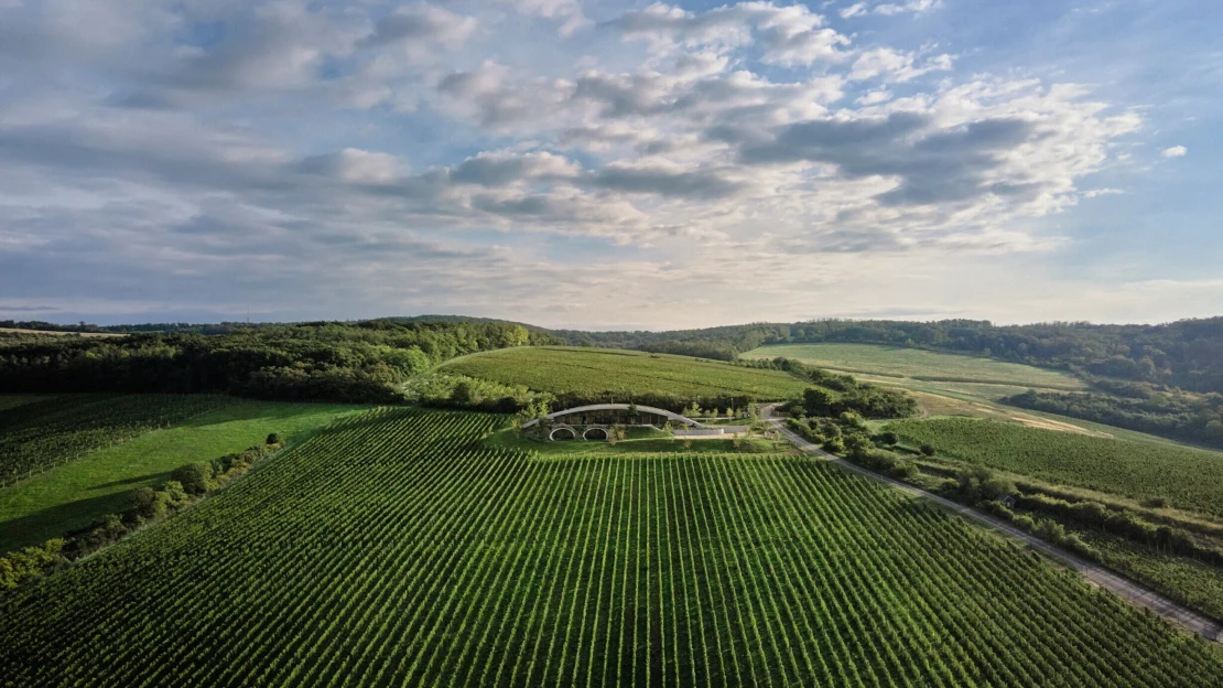 Investor Hort prodal vinařství Gala. Své Gurdau dostává do světa