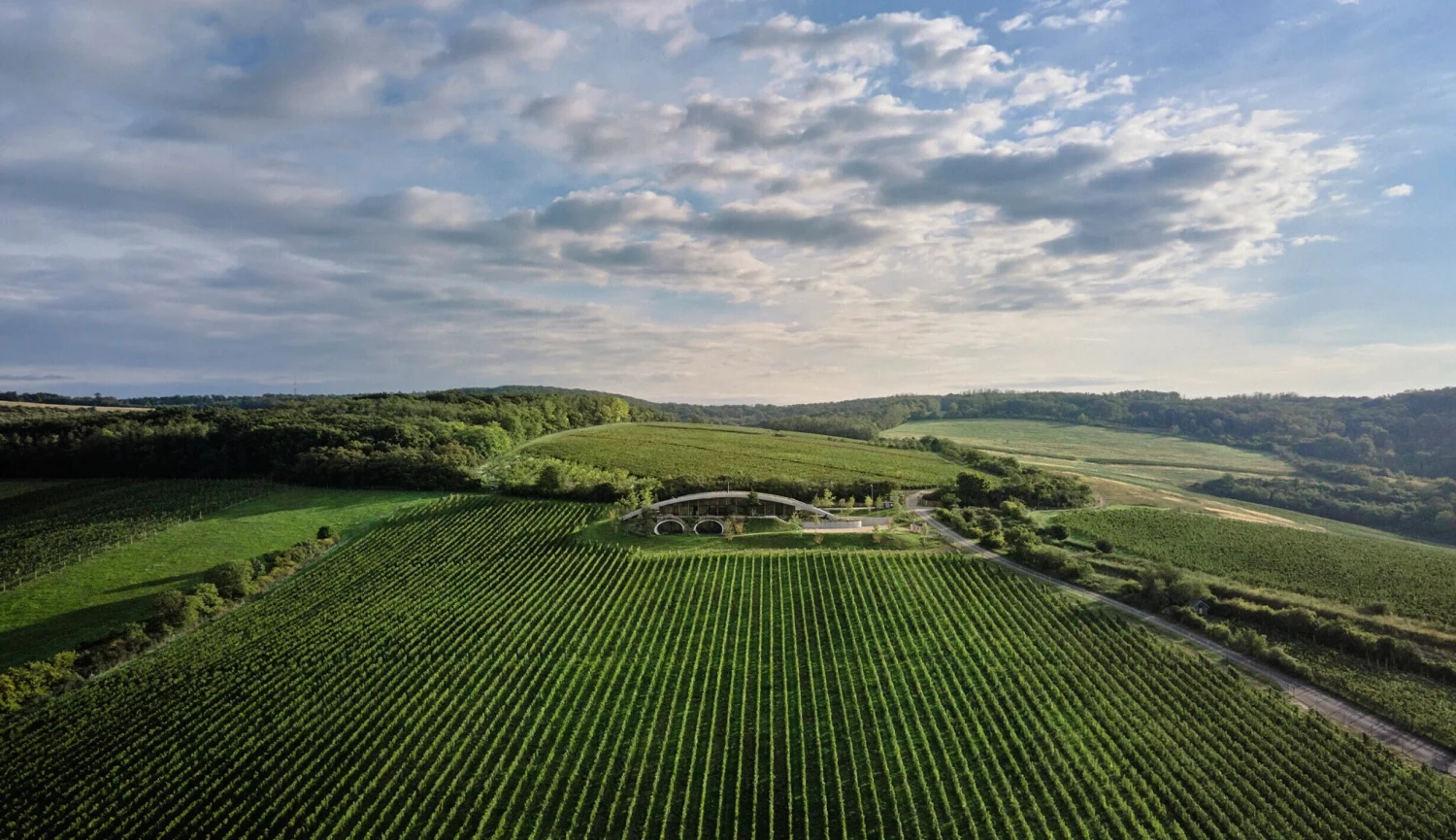 Investor Hort prodal vinařství Gala. Své Gurdau dostává do světa