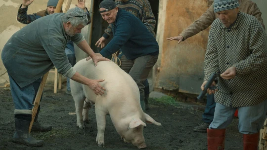 Deník z&nbsp;Varů: České filmy chtějí vidět všichni. Ale jen na festivalu