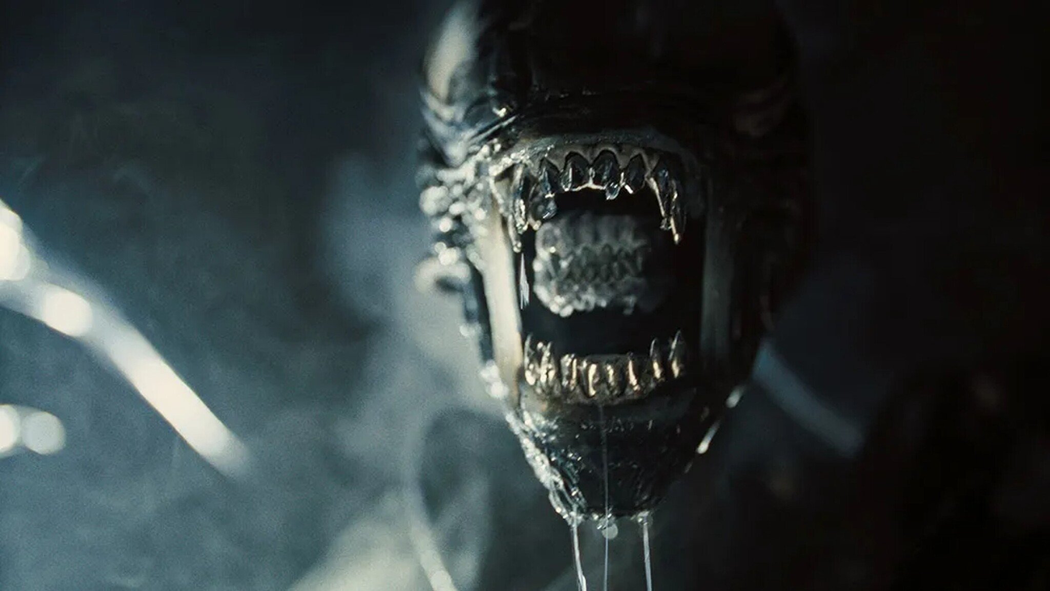 Starého xenomorfa novým mordům nenaučíš. A ono to nevadí