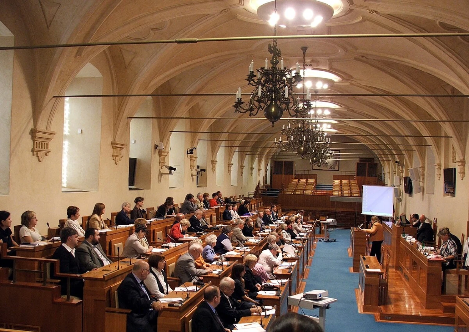 Z prvního kola jde do Senátu historicky nejvíc kandidátů. Největší počet postupujících mandátů získalo ANO