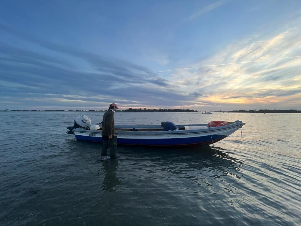 Venetian Lagoon