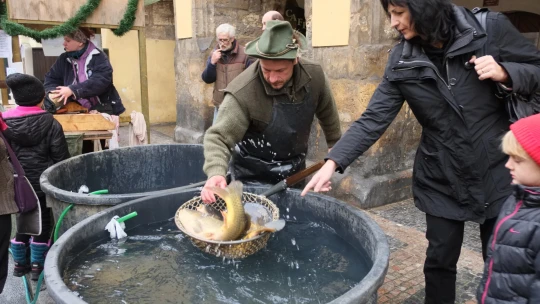 Vánoční kapr z kádě? Obchodní řetězce upouštějí od tradiční formy prodeje