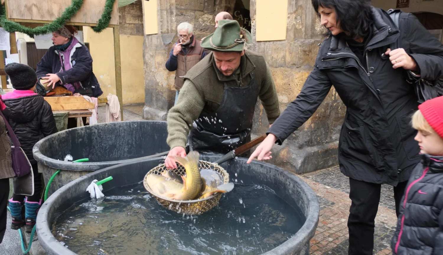 Vánoční kapr z kádě? Obchodní řetězce upouštějí od tradiční formy prodeje